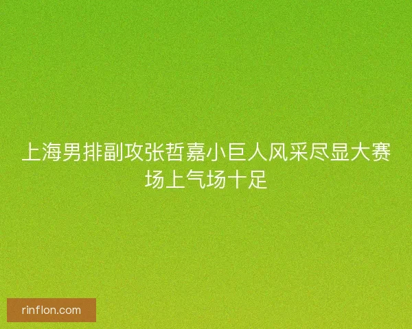 上海男排副攻张哲嘉小巨人风采尽显大赛场上气场十足